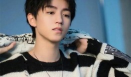 王俊凯最新娱乐爆料,揭秘偶像背后的故事与成长